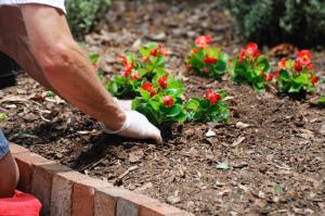 Aménagement jardin dans le Val-d'Oise	(95)